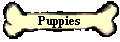 Puppies